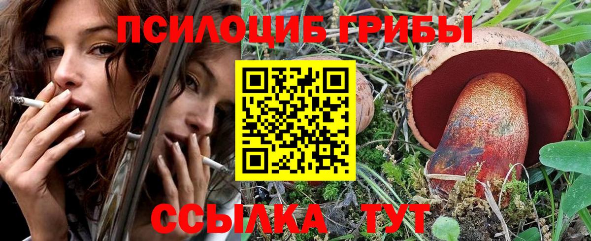Галлюциногенные грибы Cubensis  Галлюциногенные грибы GOLDEN TEACHER  Вход с VPN  Можга 